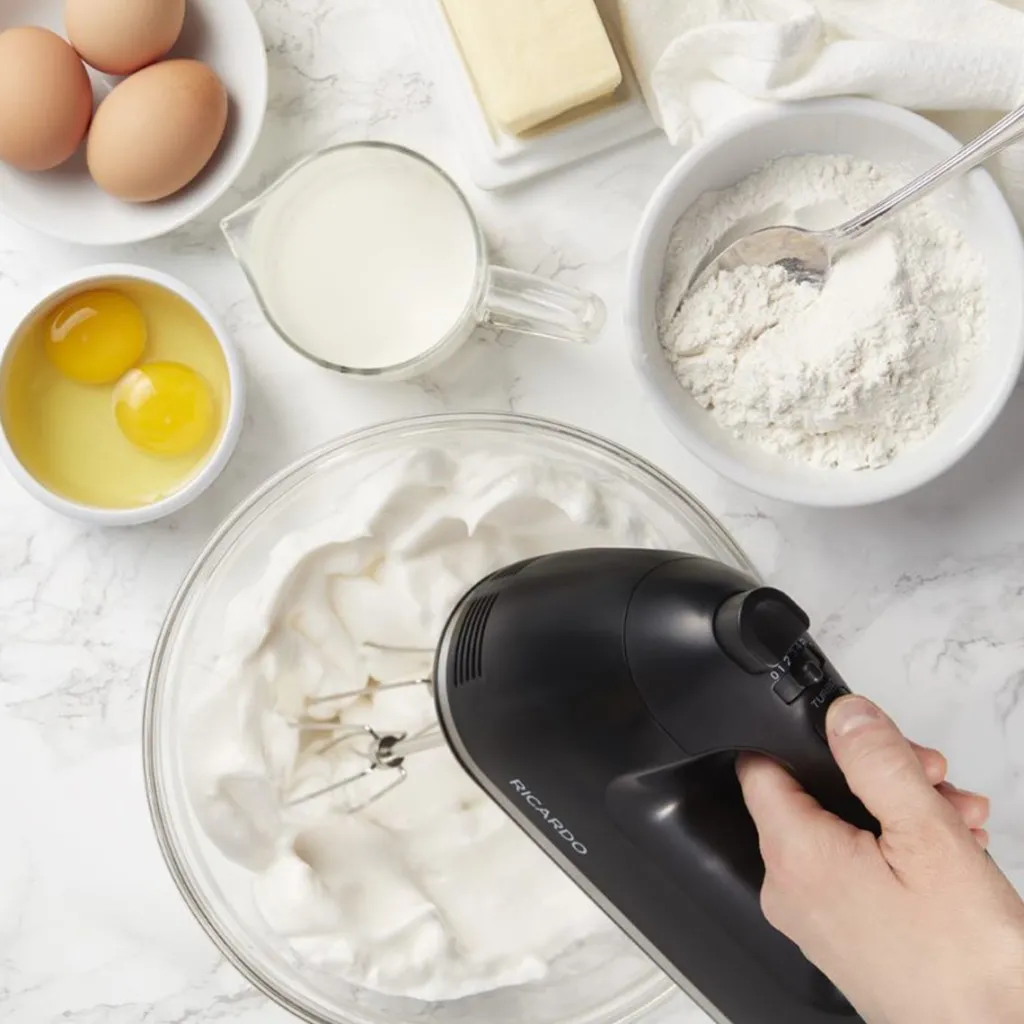Ricardo Cuisine Mixersnew-Electric Hand Mixer RICARDO