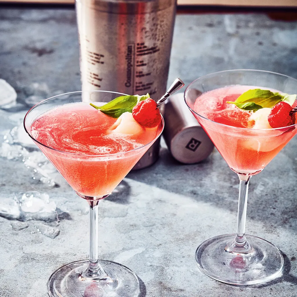 Ricardo Cuisine Bar Accessories-RICARDO Cocktail Kit