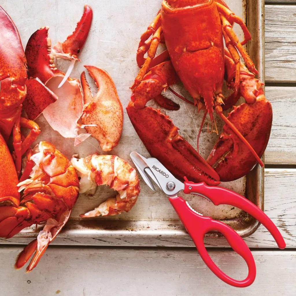 Ricardo Cuisine Seafood Accessories | Knives And Scissors-RICARDO Seafood Scissors